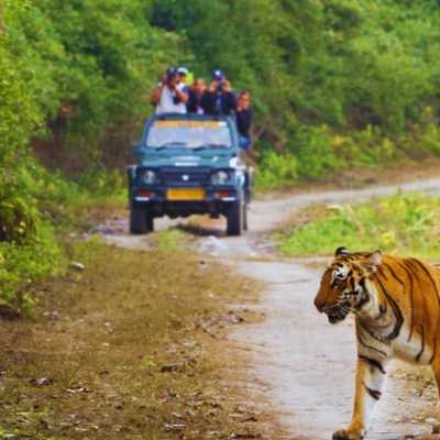 corbett mussoorie chopta auli tour